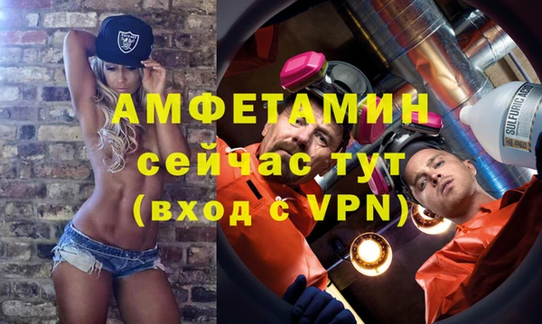 стаф Алзамай