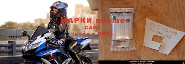 стаф Алзамай