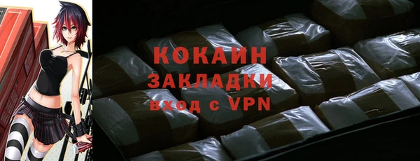 стаф Алзамай