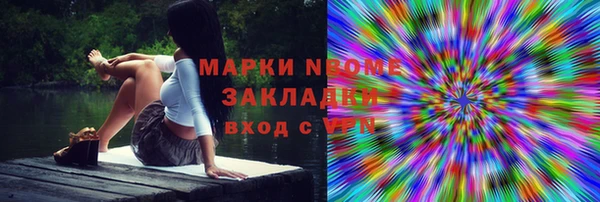 стаф Алзамай