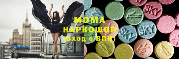 стаф Алзамай